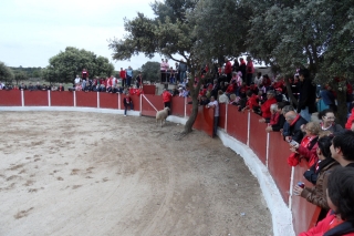 en_los_toros_marivel_3